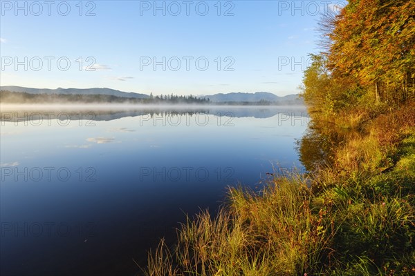 Early mist at Kirchsee