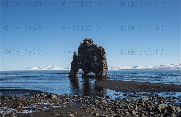 Hvitserkur