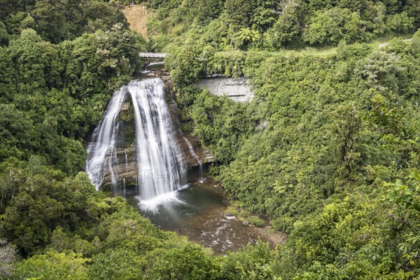 Mokau Falls