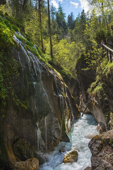 Small waterfalls and Wimbach in the Wimbach Ravine