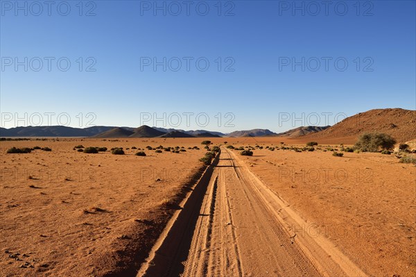 Sandtrack in the soft evening light leads through the steppe with mountains on the horizon