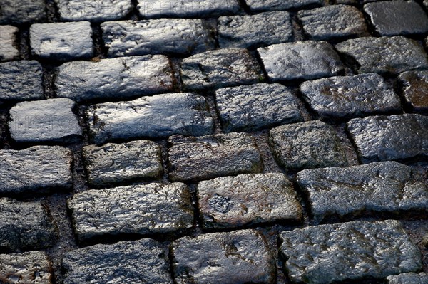 Wet cobblestones in Flensburg