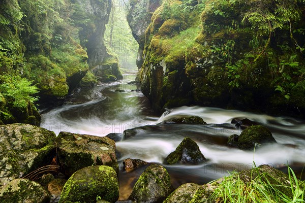 Haslach Gorge