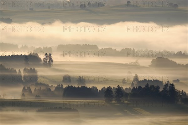 Hilly landscape with morning fog