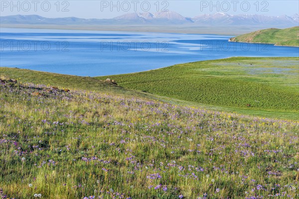 Song Kol Lake