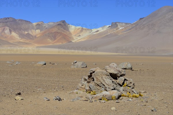 Landscape in pastel colours on the Altiplano