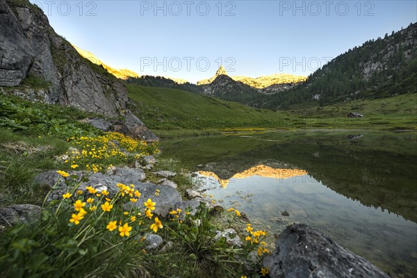 Schottmalhorn reflected in lake Funtensee at sunset