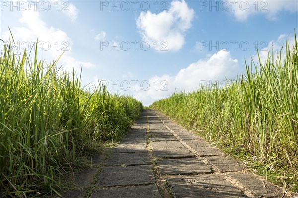 Hiking trail