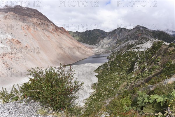 View from the crater of the volcano Chaiten on volcanic eruption destroyed forest
