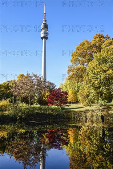 Pond with Florian in autumn