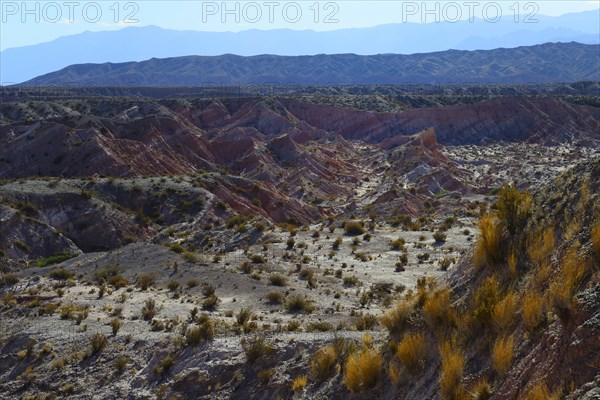 Red rock formations los Colorados