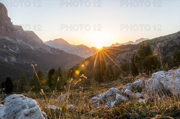 Sunrise in front of mountain silhouette with mountain meadow