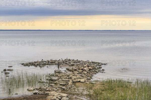 Lac Saint-Pierre