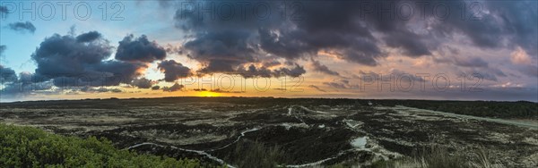 Sunrise over dunes and heathland