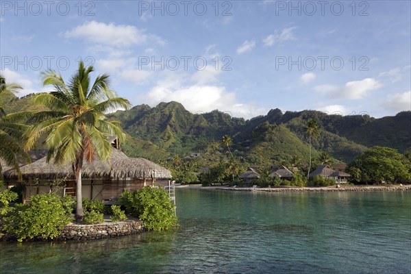 Bungalows by the sea with palm trees in front of green hills