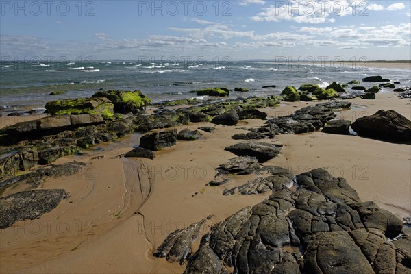 Rocky beach