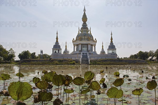 Pond with Lotus (Nelumbo) in front of Maha Rattana Chedi of Wat Thung Setthi