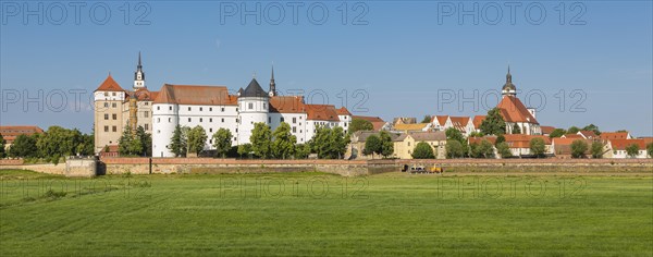 Cityscape with Hartenfels Castle and municipal church St.Marien