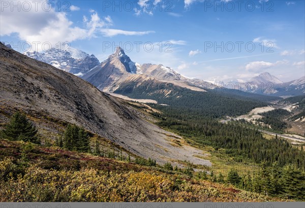 Autumn view of Mount Athabasca and Hilda Peak