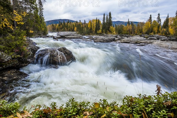 Rapids of Gamajahka