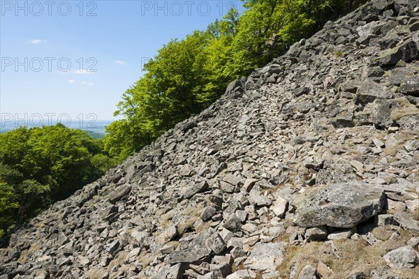 Block heap at Milseburg mountain