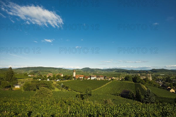 Wine village and cultural landscape in autumn