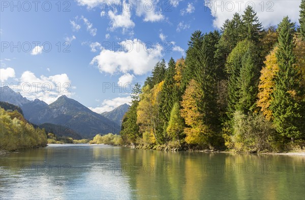 The river Lech with autumnal forest near the Ziegelwiesen