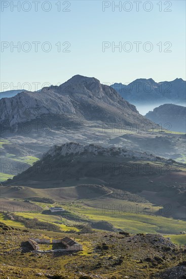 Hilly green mountain landscape