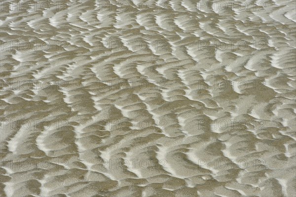 Sand surface formed by wind and tidal current in the mud flats