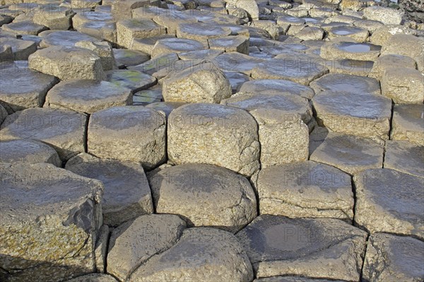 Basalt columns