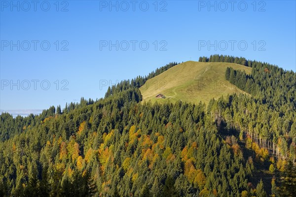 Zwiesel near Wackersberg with Schnaiteralm in autumn