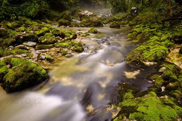 Schwarzbach creek