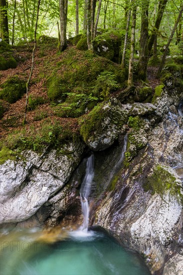 Lepenjica River