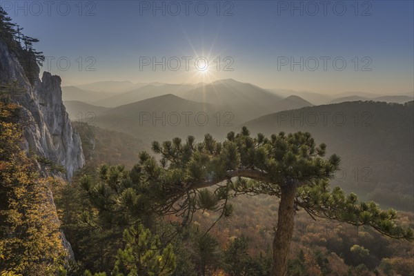 Mountain landscape