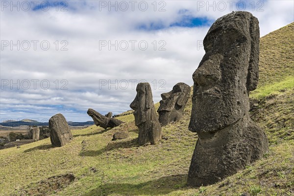 Moais in Rano Raraku