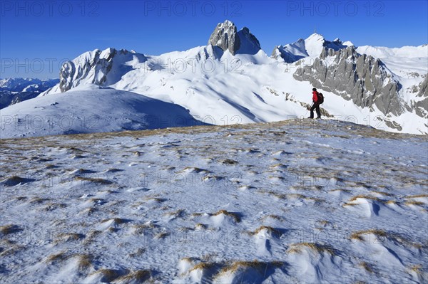 Winter mountain landscape