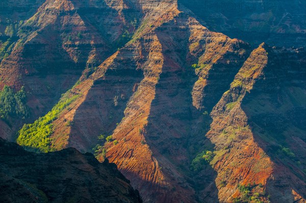 Overlook over the Waimea canyon