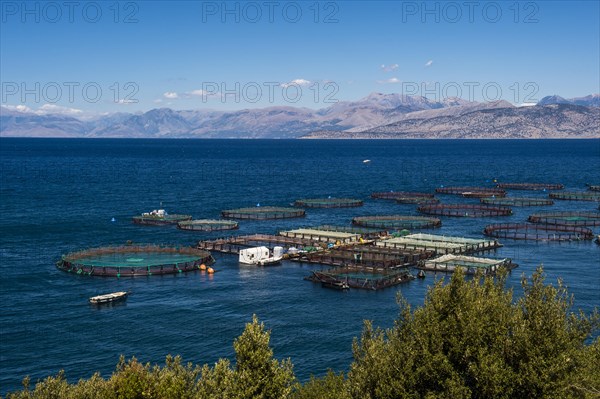 Fishfarm in Kassiopi