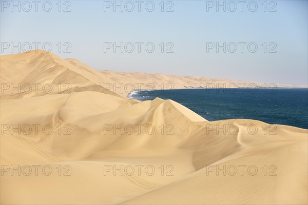Sand dunes on the Atlantic coast near Lange Wand