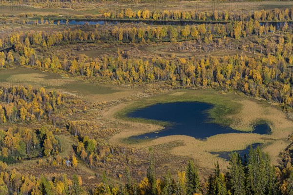 Autumn landscape