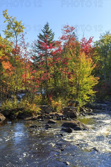 Rapids on the River Riviere du Diable in Autumn