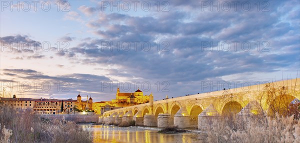Illuminated Puente Romano