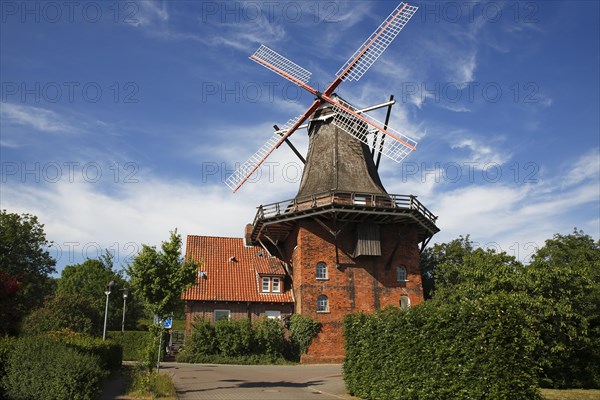 Windmill Aurora