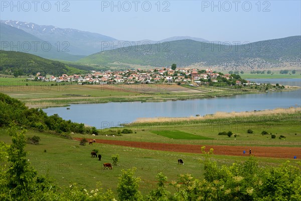 Dolna Gorica at Lake Prespa