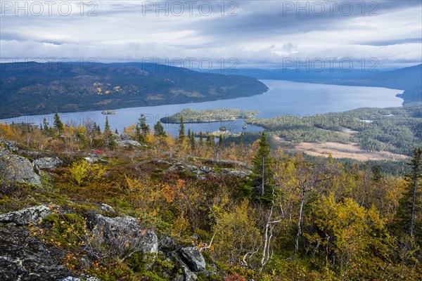 Autumn landscape