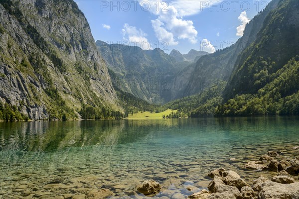 Obersee