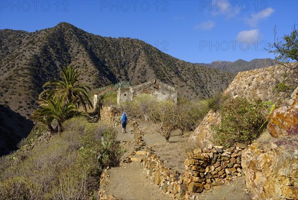 Woman hiking on trail