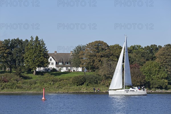 Sailboat on the Schlei