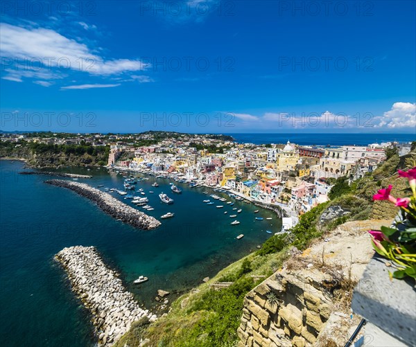 View of the island of Procida with its colourful houses