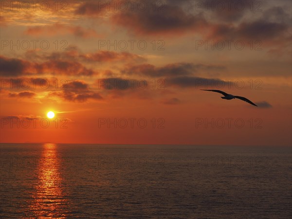 Sunset over the sea